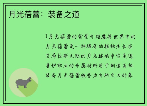 月光蓓蕾:装备之道 月光蓓蕾:装备之道